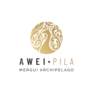 AweiPila